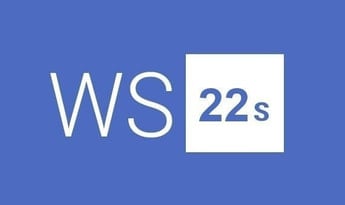 Windows Server 2022 Remote Desktop Services - 50 User Connections EN/DE/FR/IT/JA/RU/ZH/ES Global MS Products