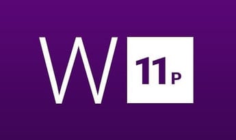 Windows 11 Professional + MS Office Professional Plus 2019 - Bundle Global MS Products