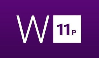 Windows 11 Professional N EN EU MS Products