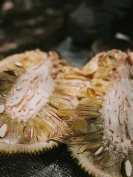 Pulled Jackfruit Street Tacos