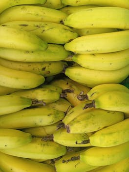 Banana Cavendish