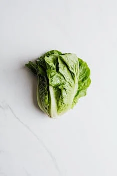 Lechuga Crespa Fresca
