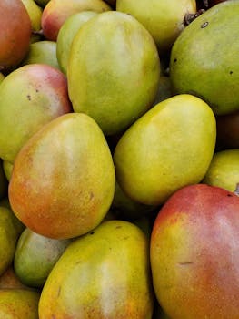 Mango Haden